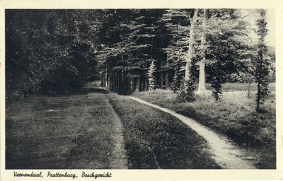 12254 Gezicht in een bosweg bij het huis Prattenburg aan de Cuneraweg te Rhenen.